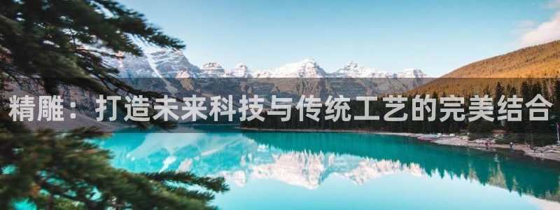 天辰娱乐咋样:精雕:打造未来科技与传统工艺的完美结合