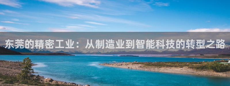 天辰娱乐入口:东莞的精密工业:从制造业到智能科技的转型之路
