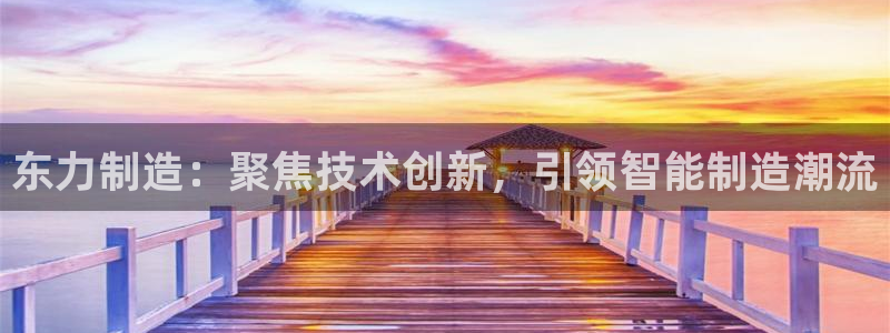 天辰娱乐10086:东力制造:聚焦技术创新,引领智能制造潮流