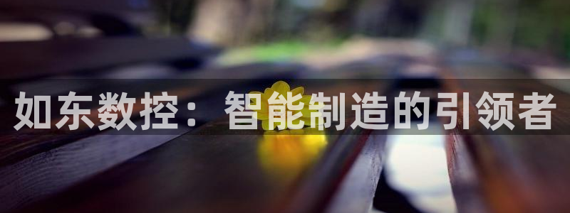 天辰娱乐地址:如东数控:智能制造的引领者