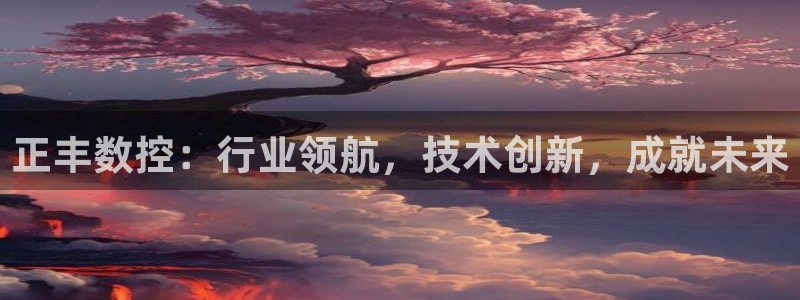 天辰娱乐会所:正丰数控:行业领航,技术创新,成就未来