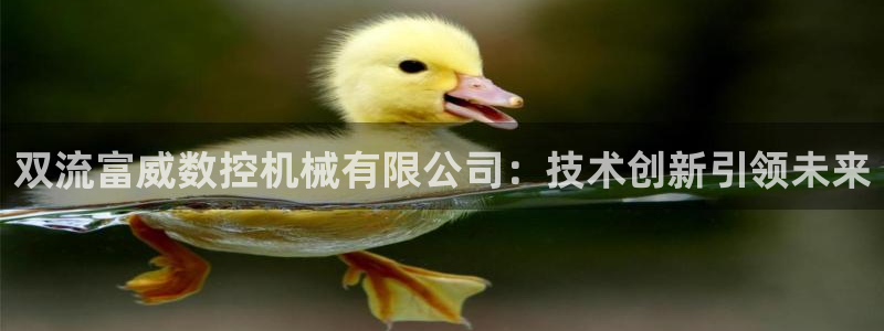 天辰娱乐在线登录注册:双流富威数控机械有限公司:技术创新引领未来