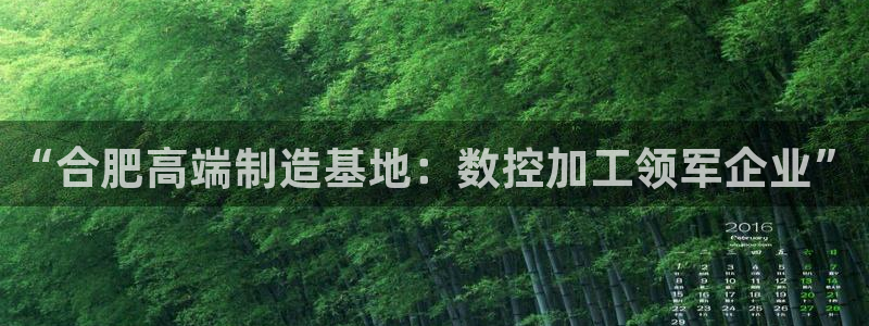天辰娱乐网:“合肥高端制造基地:数控加工领军企业”