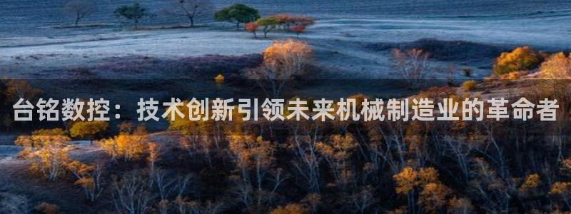 天辰娱乐平台地址在哪里:台铭数控:技术创新引领未来机械制造业的革命者
