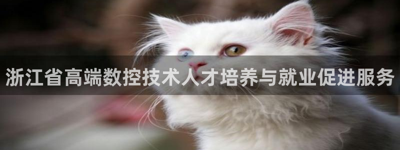 天辰辰娱乐代理:浙江省高端数控技术人才培养与就业促进服务