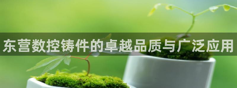 天辰天富娱乐:东营数控铸件的卓越品质与广泛应用