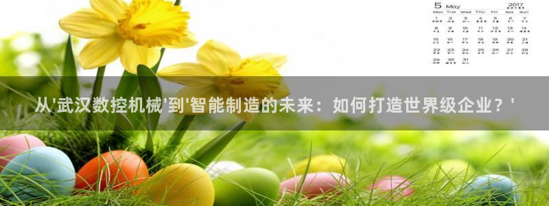 天辰娱乐appxi:从\'武汉数控机械\'到\'智能制造的未来:如何打造世界级企业?\'